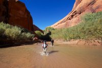 escalante-backpacking-loop-33.jpg