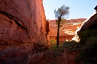 escalante-backpacking-loop-46.jpg