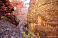 zion-narrows.jpg