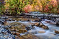 High Creek fused1.jpg