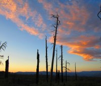 Copy (2) of IMG_0373.JPG