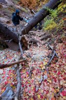 mystery-canyon-zion-fall-2.jpg