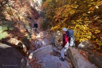 mystery-canyon-zion-fall-4.jpg