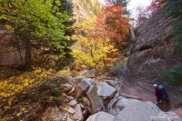 mystery-canyon-zion-fall-16.jpg