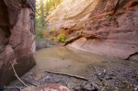 mystery-canyon-zion-fall-18.jpg