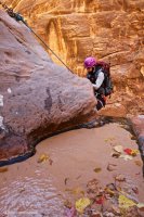 mystery-canyon-zion-fall-26.jpg
