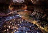 Sharpened version2.jpg