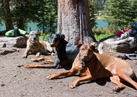 IMG_5160 - Version 2.jpg