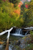 506_s-fall_creek-upper_25%.jpg
