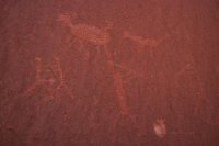 128_party-panel_petroglyph.jpg