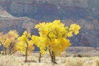 P1030859.jpg P1030859.jpg