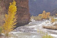 P1030841.jpg P1030841.jpg