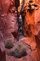 Moonshine Wash - 1584 MEc.jpg Moonshine Wash - 1584 MEc.jpg