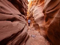 moonshine-keg-knoll-2.jpg moonshine-keg-knoll-2.jpg