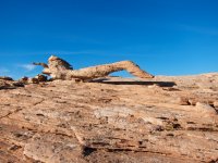 moonshine-keg-knoll-9.jpg moonshine-keg-knoll-9.jpg