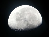 moonshine-keg-knoll-15.jpg moonshine-keg-knoll-15.jpg