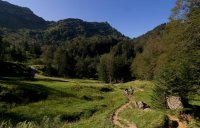 IMGP3940_1.jpg IMGP3940_1.jpg