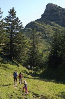 IMGP3951_1.jpg IMGP3951_1.jpg