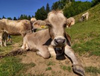 IMGP4004_2__1_01.jpg IMGP4004_2__1_01.jpg