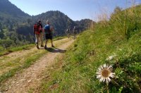 IMGP4006_2__1_01.jpg IMGP4006_2__1_01.jpg