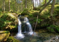 IMGP4013_2__1_01.jpg IMGP4013_2__1_01.jpg