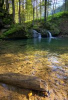 IMGP4032_2__1_01.jpg IMGP4032_2__1_01.jpg