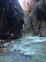 E63E456C-F187-4214-BB2E-C2D3F86B24CA.jpeg E63E456C-F187-4214-BB2E-C2D3F86B24CA.jpeg