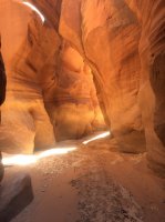 4592B7A4-17FA-4EF0-8395-0676521215B5.jpeg 4592B7A4-17FA-4EF0-8395-0676521215B5.jpeg