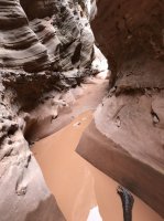 39ECBF4E-ED56-4DFE-902D-80C4FB3B7C22.jpeg 39ECBF4E-ED56-4DFE-902D-80C4FB3B7C22.jpeg