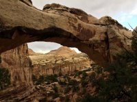 E03113AD-8EAF-4D99-882A-AB9FEEBDF8B1.jpeg E03113AD-8EAF-4D99-882A-AB9FEEBDF8B1.jpeg