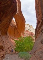 Utah2014068-copy.jpg Utah2014068-copy.jpg