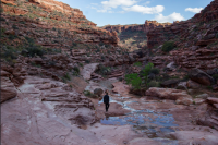 Screen Shot 2017-12-07 at 6.48.24 PM.png