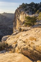 The Wedge 11-170295.jpg