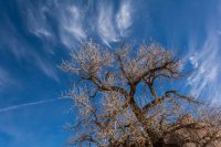 The Wedge 11-170510.jpg