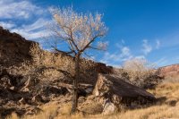 The Wedge 11-170581.jpg