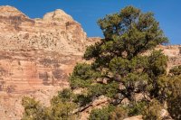 The Wedge 11-170648 (1).jpg