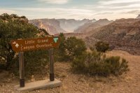 The Wedge 11-171337.jpg