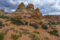 5.31.17 Teepees, yellow flowers, storm.jpg 5.31.17 Teepees, yellow flowers, storm.jpg
