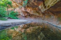 West Fork Abstract Reflection.jpg