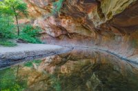 West Fork Abstract Reflection.jpg West Fork Abstract Reflection.jpg