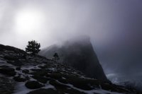 Half Dome from Subdome.jpg