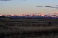 IMG_0890.JPG IMG_0890.JPG