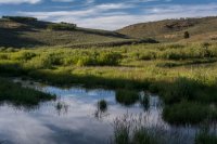 Scofield 7-20170001.jpg