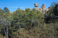 Chiricahua_Big_Balanced_Rock&forest.jpg