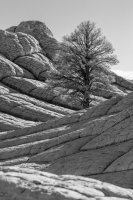 _MG_0072.jpg _MG_0072.jpg