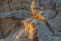 _MG_0087.jpg _MG_0087.jpg