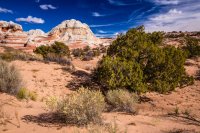 _MG_1003.jpg _MG_1003.jpg