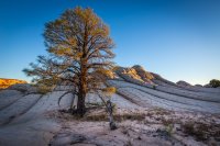 _MG_1208.jpg _MG_1208.jpg