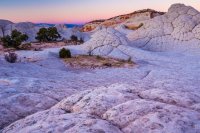 _MG_1241.jpg _MG_1241.jpg