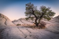 _MG_1244.jpg _MG_1244.jpg